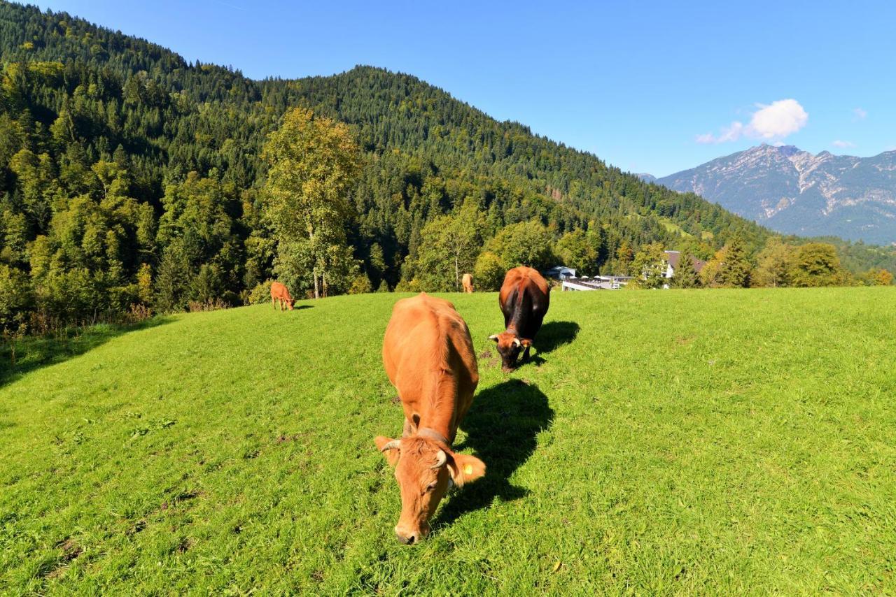 Das Graseck - Mountain Hideaway & Health Care Garmisch-Partenkirchen Eksteriør billede